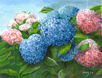 Hydrangea