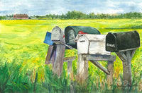 Mailboxes by canola field